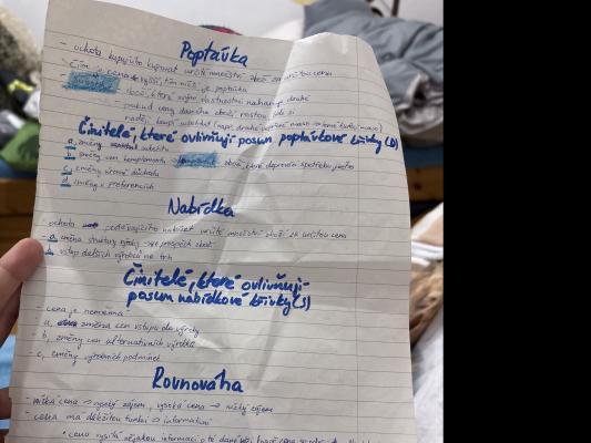 Photo of a course on  Basic Economic Concepts Overview