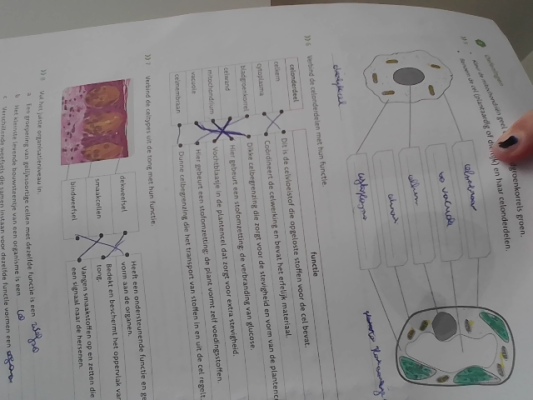 Photo of a course on  Biology Worksheet: Cell Structure