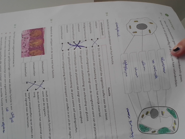 Photo of a course on  Biology Worksheet: Cell Structure