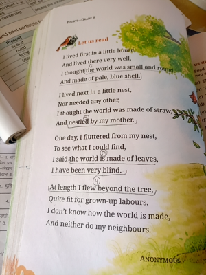 Photo of a course on  Bird's Journey of Discovery