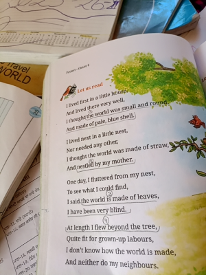 Photo of a course on  Bird's Journey of Discovery