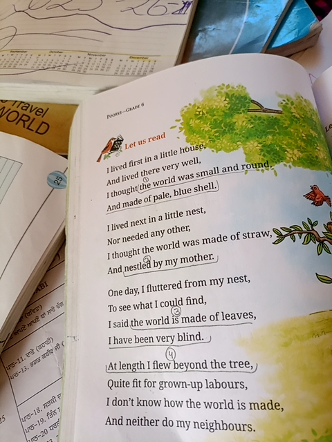 Photo of a course on  Bird's Journey of Discovery