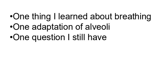 Photo of a course on  Breathing and Alveoli Adaptations