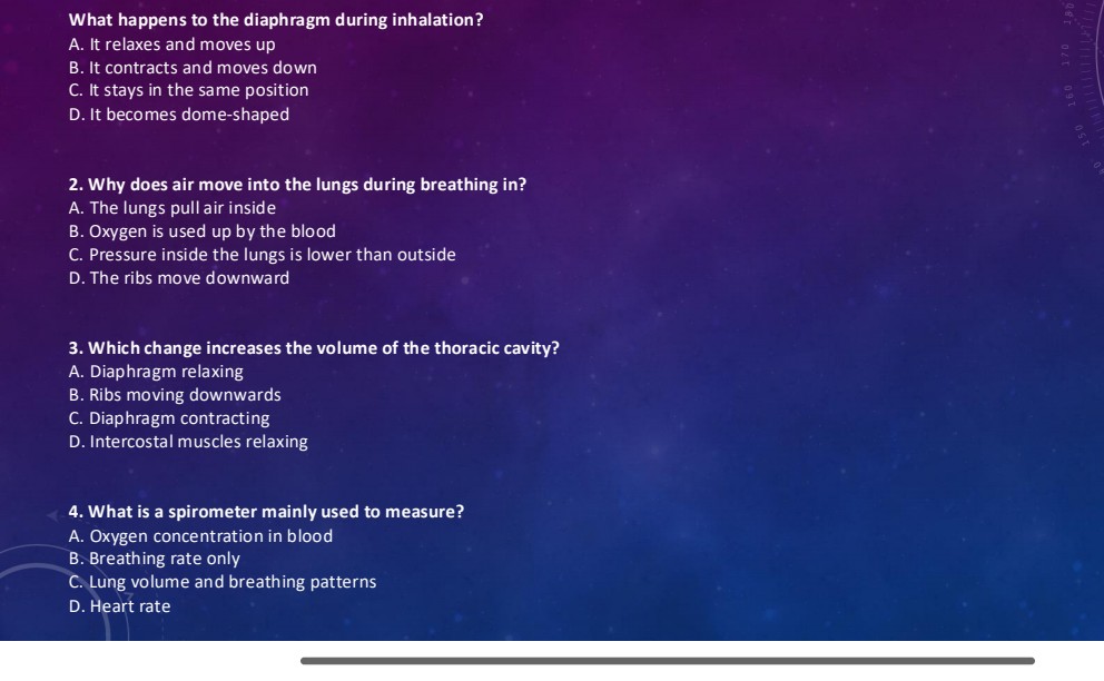 Photo of a course on  Breathing Mechanics and Spirometry