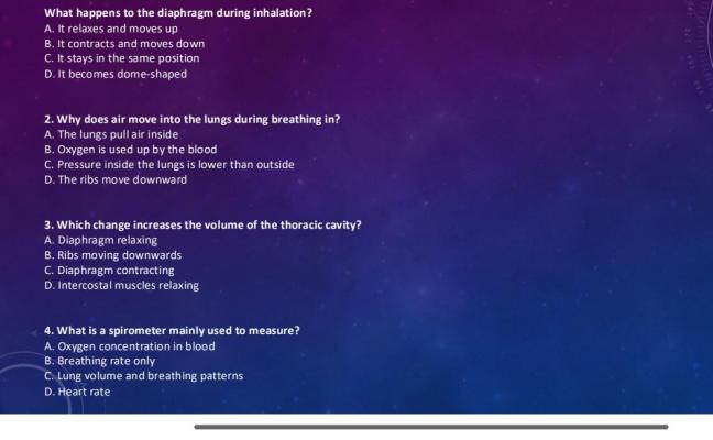 Photo of a course on  Breathing Mechanics and Spirometry