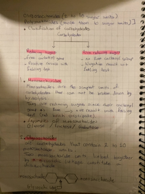Photo of a course on  Carbohydrates: Classification and Examples