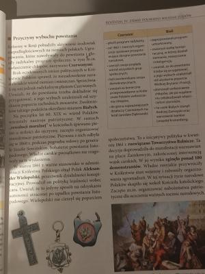 Photo of a course on  Causes of Polish Uprising