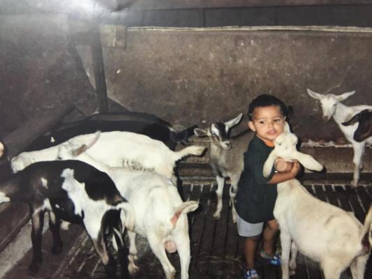 Photo of a course on  Child in a Goat Barn