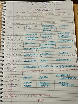 Photo of a course on  Comparison of Muscle Types