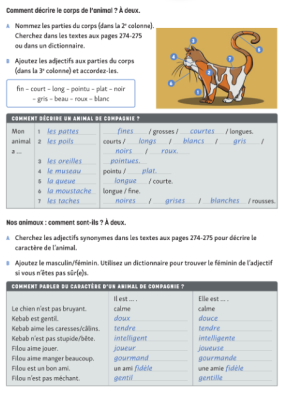 Photo of a course on  Describing Animals in French