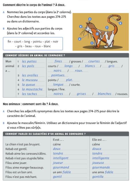 Photo of a course on  Describing Animals in French