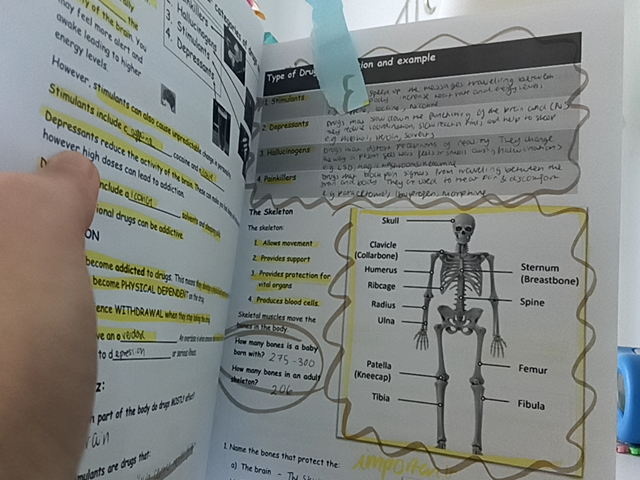 Photo of a course on  Drug Effects and Human Skeleton