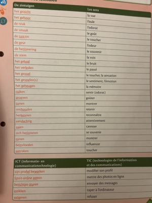 Photo of a course on  Dutch-French Vocabulary: Senses & ICT