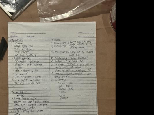 Photo of a course on  Echinoderms and Mollusks Overview