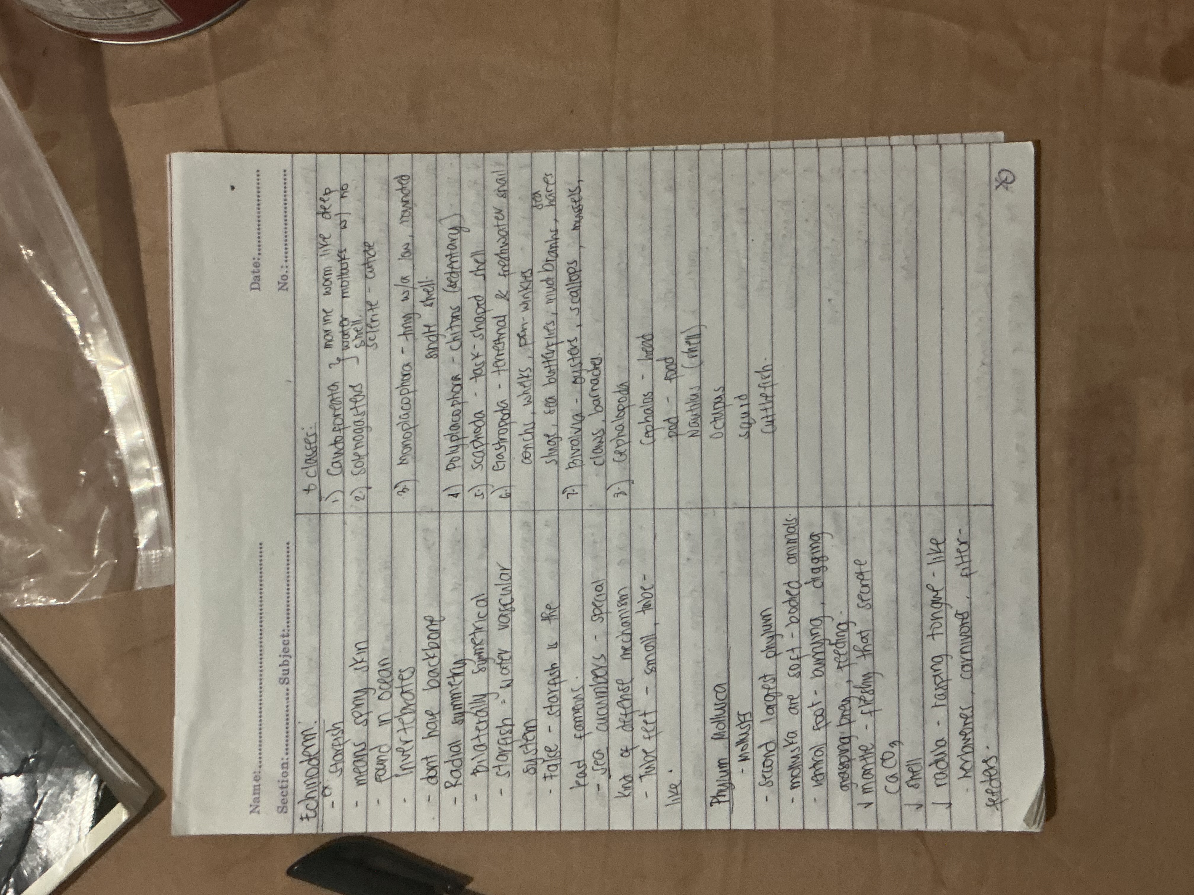 Photo of a course on  Echinoderms and Mollusks Overview