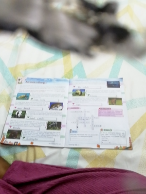 Photo of a course on  Endangered Animals and Conservation