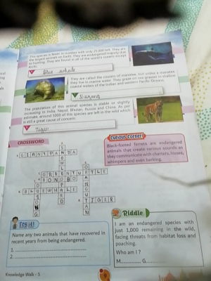 Photo of a course on  Endangered Species Educational Page