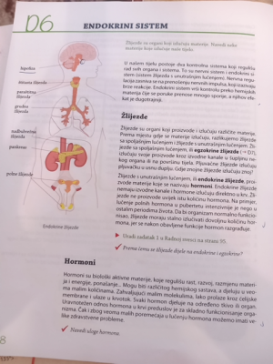 Photo of a course on  Endocrine System and Hormones