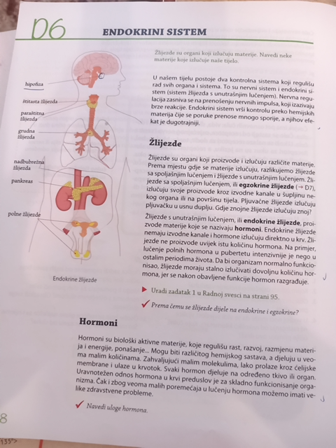 Photo of a course on  Endocrine System and Hormones
