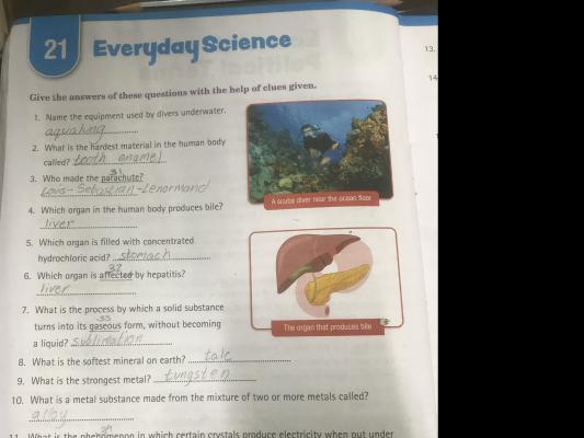 Photo of a course on  Everyday Science Worksheet