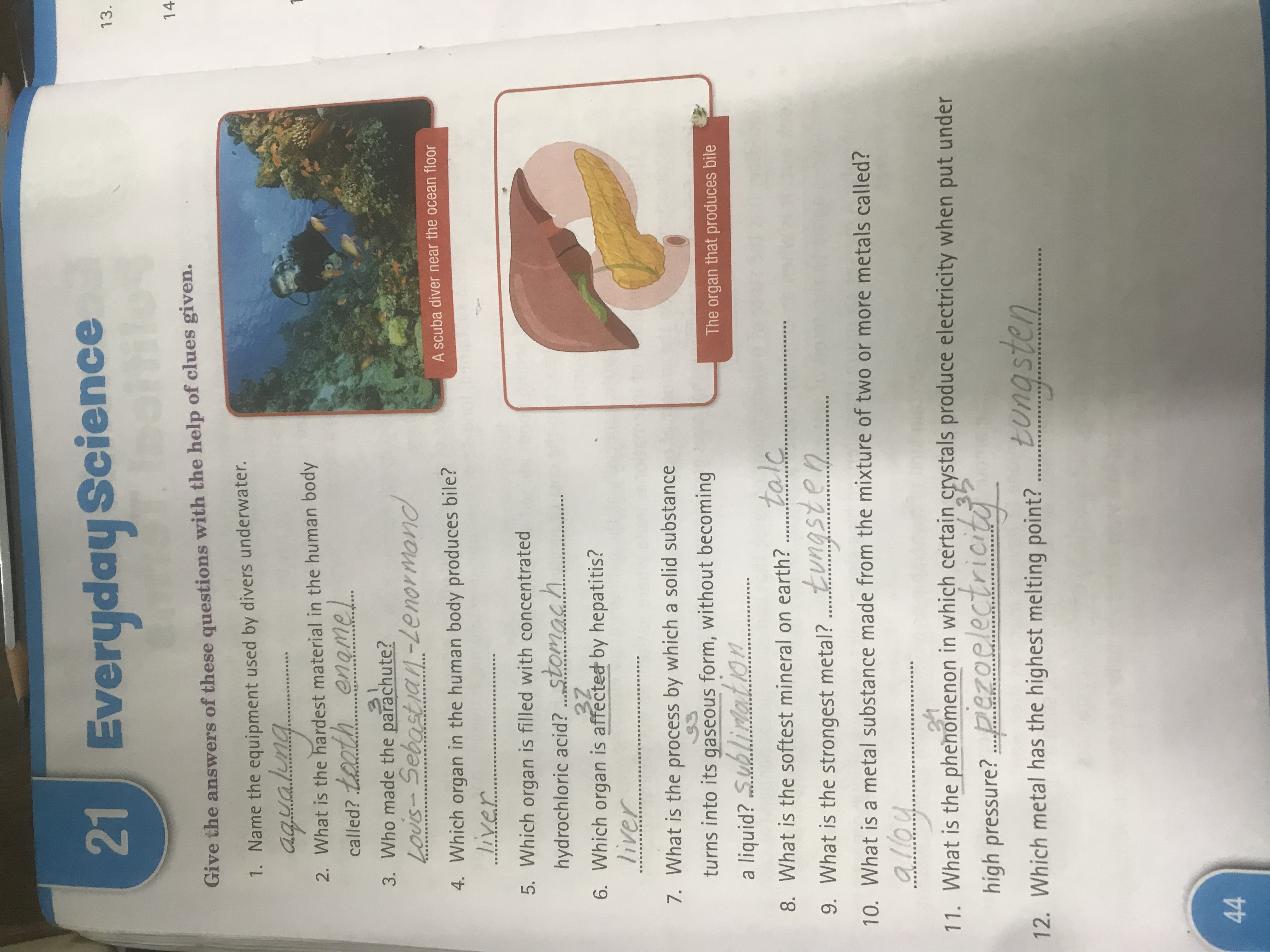 Photo of a course on  Everyday Science Worksheet