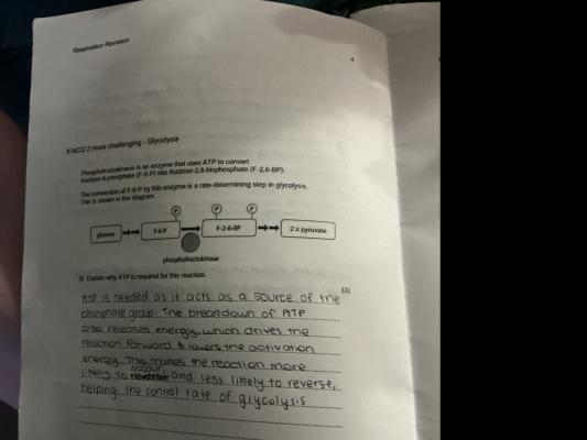 Photo of a course on  Glycolysis and ATP Role