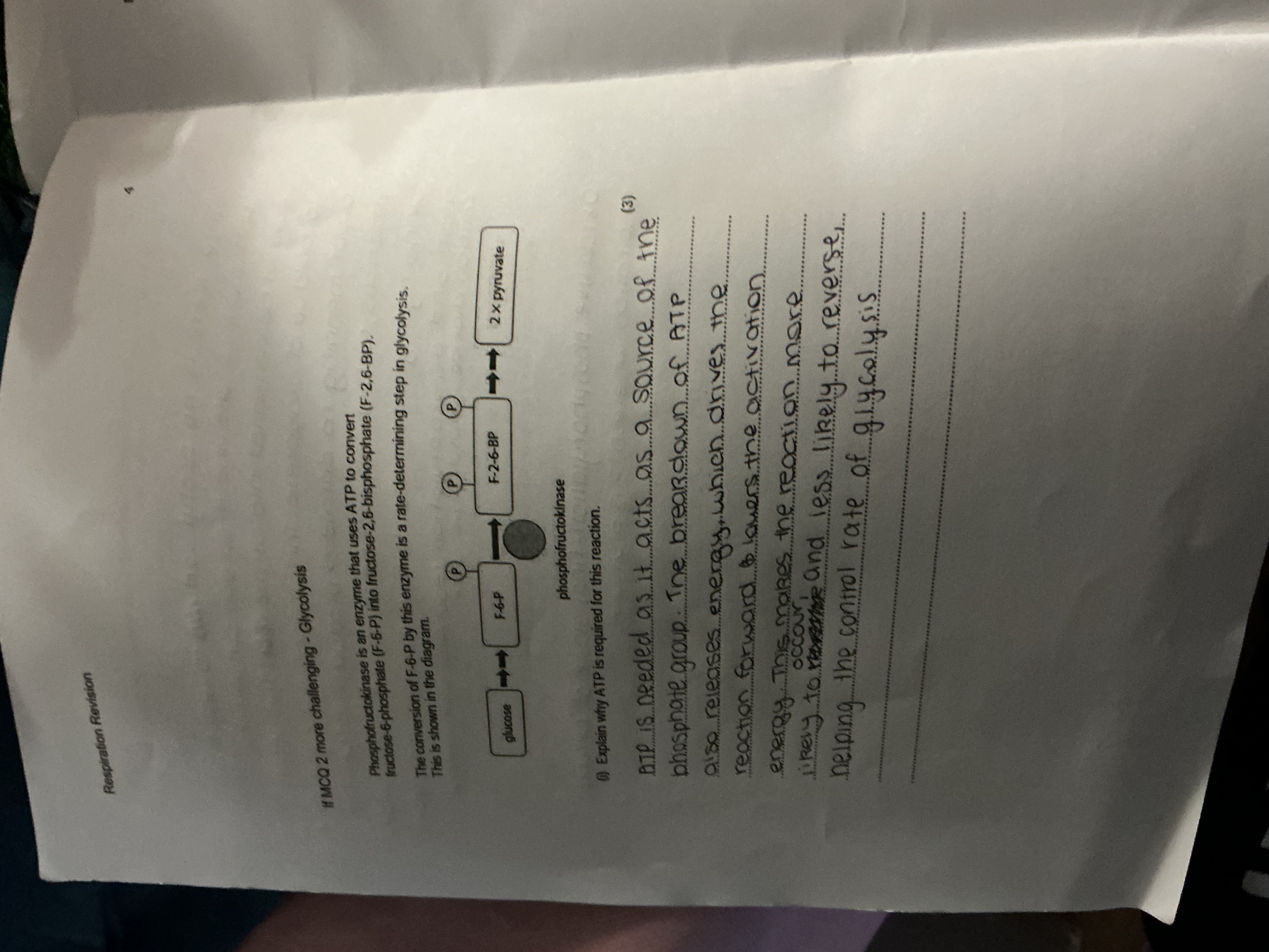 Photo of a course on  Glycolysis and ATP Role