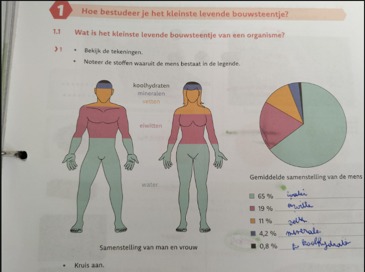 Photo of a course on  Human Body Composition Basics