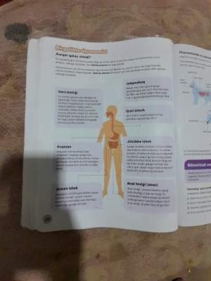 Photo of a course on  Human Digestive System Overview