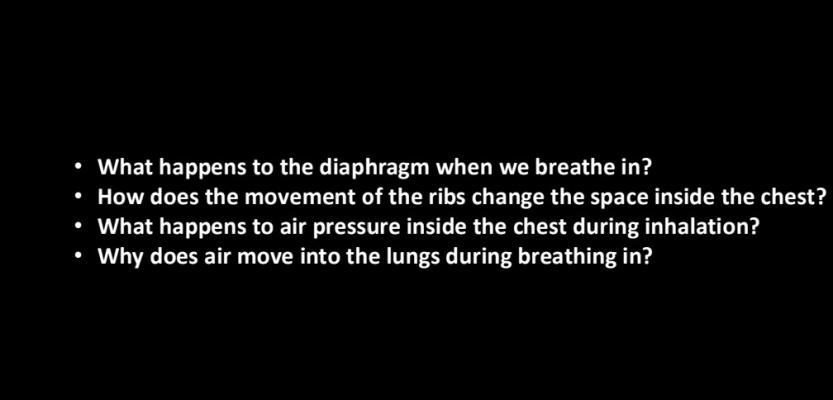 Photo of a course on  Mechanics of Breathing Process