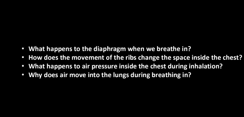 Photo of a course on  Mechanics of Breathing Process