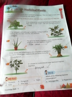 Photo of a course on  Medicinal Plants and Uses