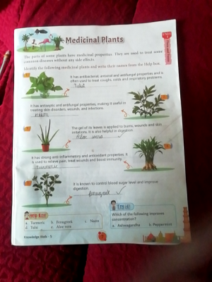 Photo of a course on  Medicinal Plants Educational Worksheet