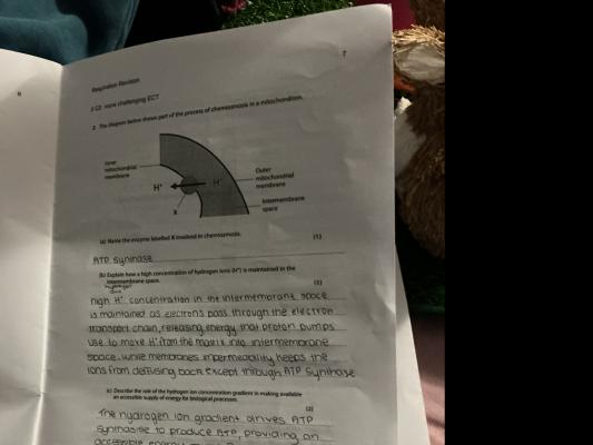 Photo of a course on  Mitochondrial Chemiosmosis and ATP Production