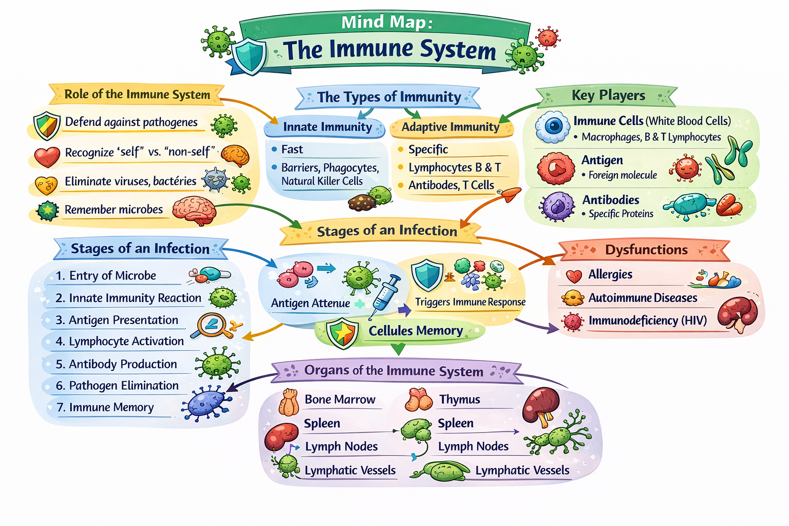 Photo of a course on  Overview of the Immune System