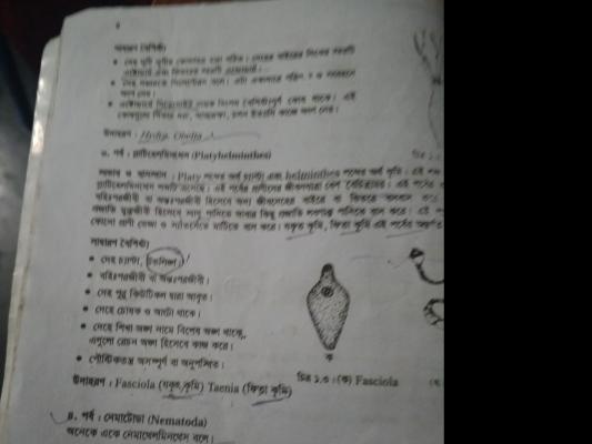 Overview of Worm Phyla quiz