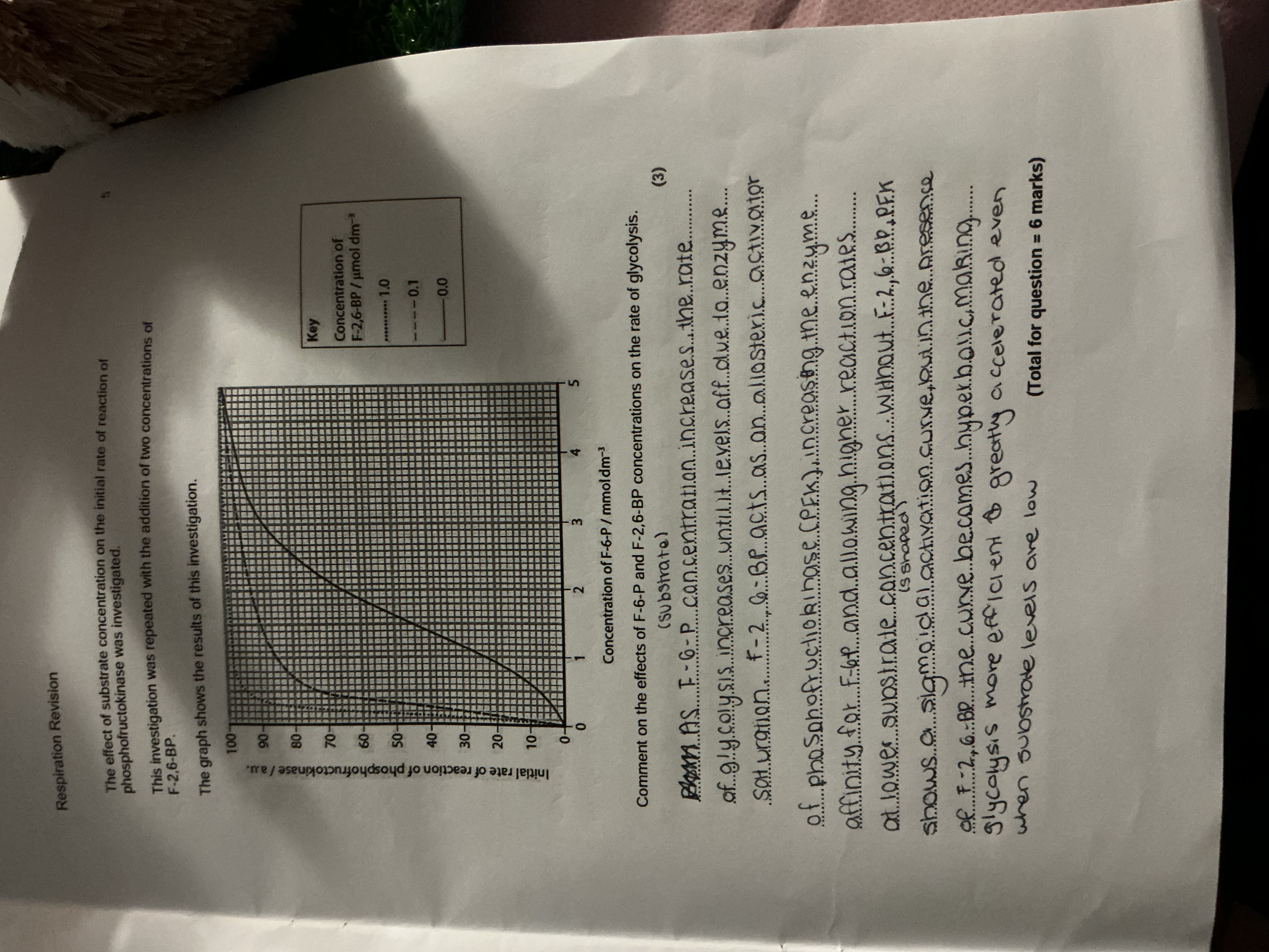 Photo of a course on  Phosphofructokinase Reaction Rate Study