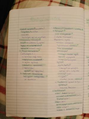 Plant Biology: Meristematic Tissues quiz