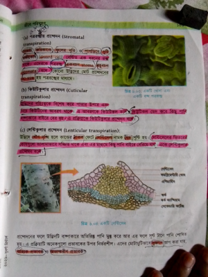 Photo of a course on  Types of Plant Transpiration
