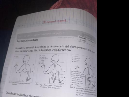 Understanding the Digestive System quiz