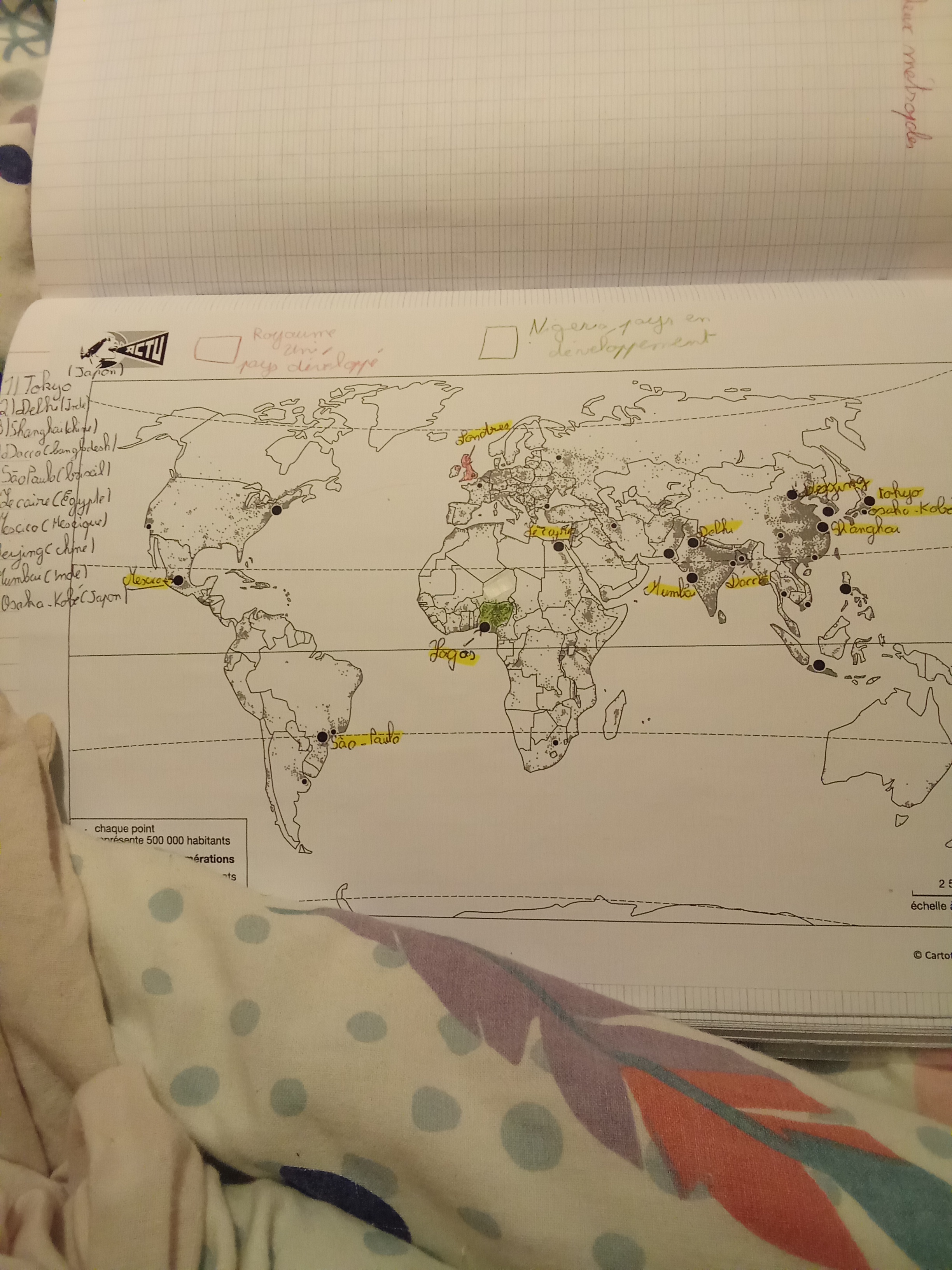 Photo of a course on  World Map of Major Cities