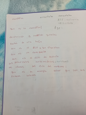 Foto de un curso de  Conceptos Básicos de Biología