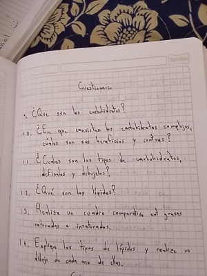 Foto de un curso de  Cuestionario sobre carbohidratos y lípidos