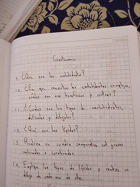 Foto de un curso de  Cuestionario sobre carbohidratos y lípidos