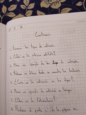 Foto de un curso de  Cuestionario sobre Nutrición y Fotosíntesis