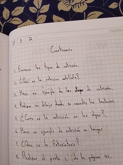Foto de un curso de  Cuestionario sobre Nutrición y Fotosíntesis