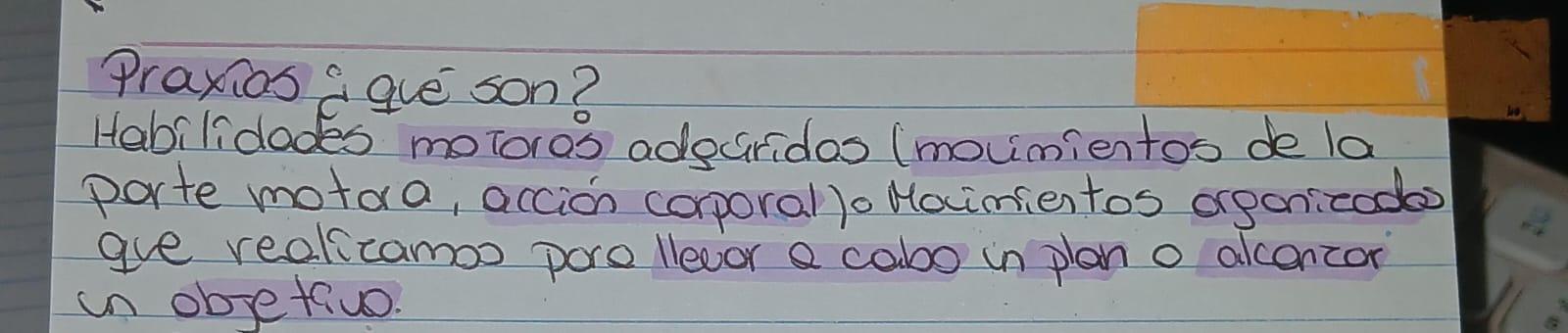 Foto de un curso de  Definición y función de praxias
