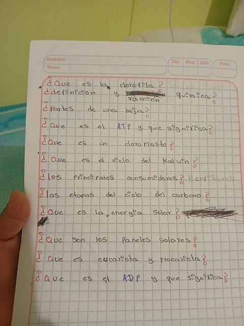 Foto de un curso de  Devoirs de biologie végétale