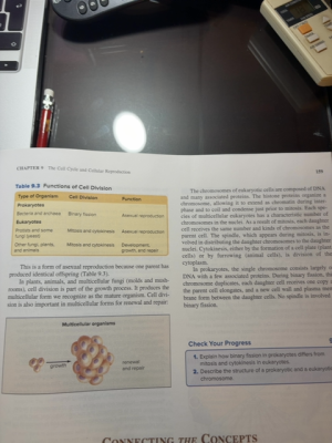 Foto de un curso de  División Celular y Reproducción Celular