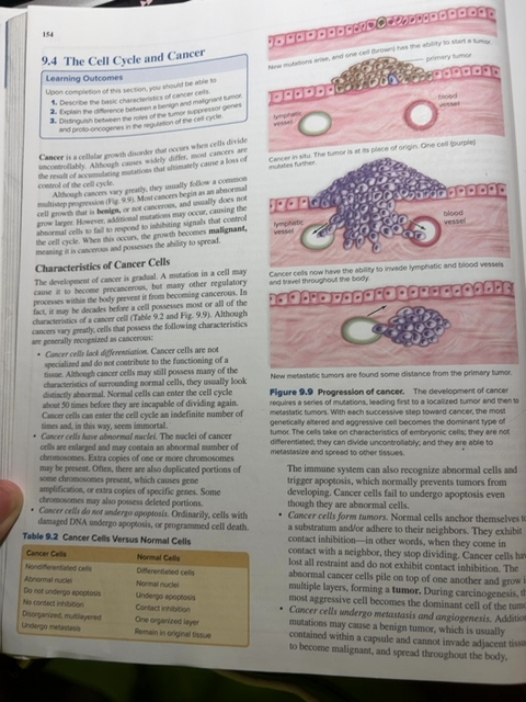 Foto de un curso de  El ciclo celular y cáncer